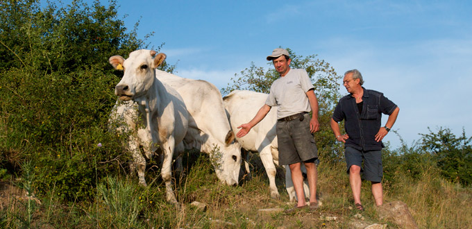 Pietro e Domenico in visita al parco per un controllo delle nascite e per una quantificazione del numero dei bovini.