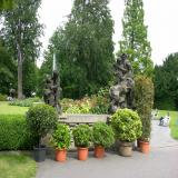 6. Scorcio del parco
