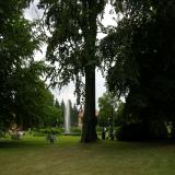 5. Scorcio del parco