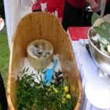 2.Dalla Francia: Ostriche e Champagne